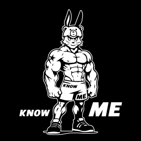 Rabbit Design K v2 up Rabbit Fit T-shirt