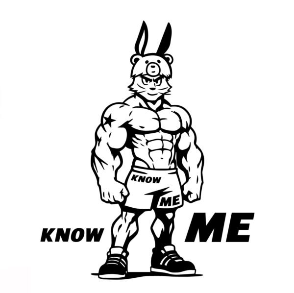 Rabbit Design W v2 up Rabbit Fit T-shirt